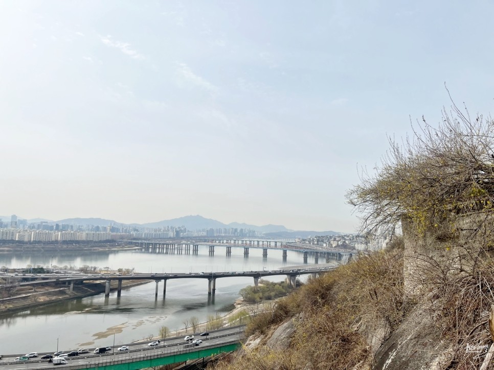 서울 봄꽃구경 가볼만한곳 응봉산 개나리 축제 팔각정 주차장