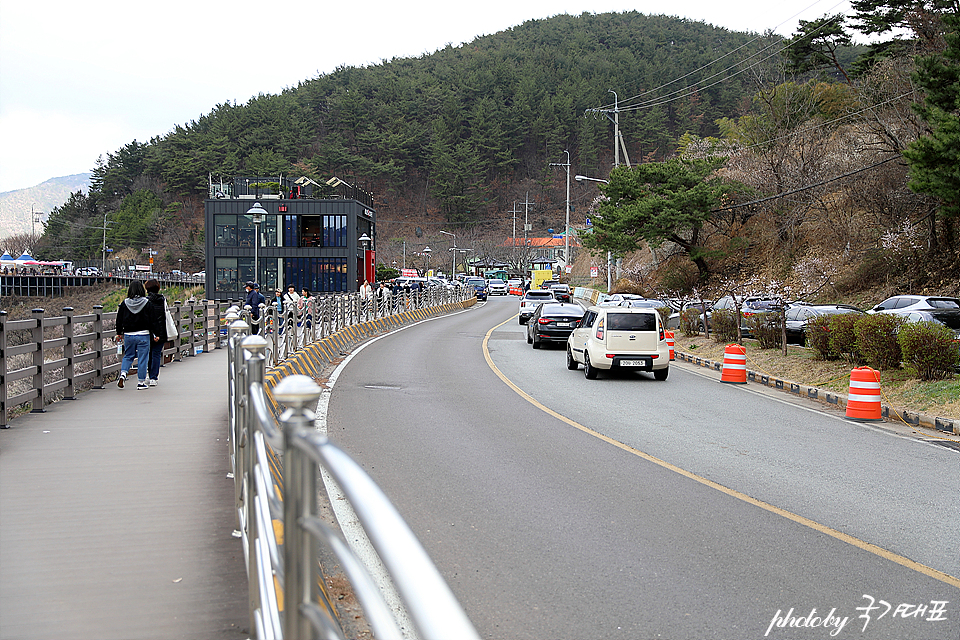 원동매화축제 양산 순매원 데이트코스 양산 여행 매화명소 주차