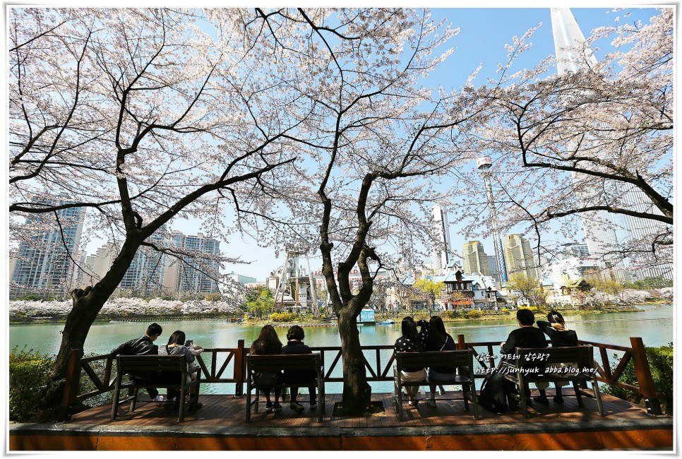 2023 전국 벚꽃 개화시기 벚꽃명소