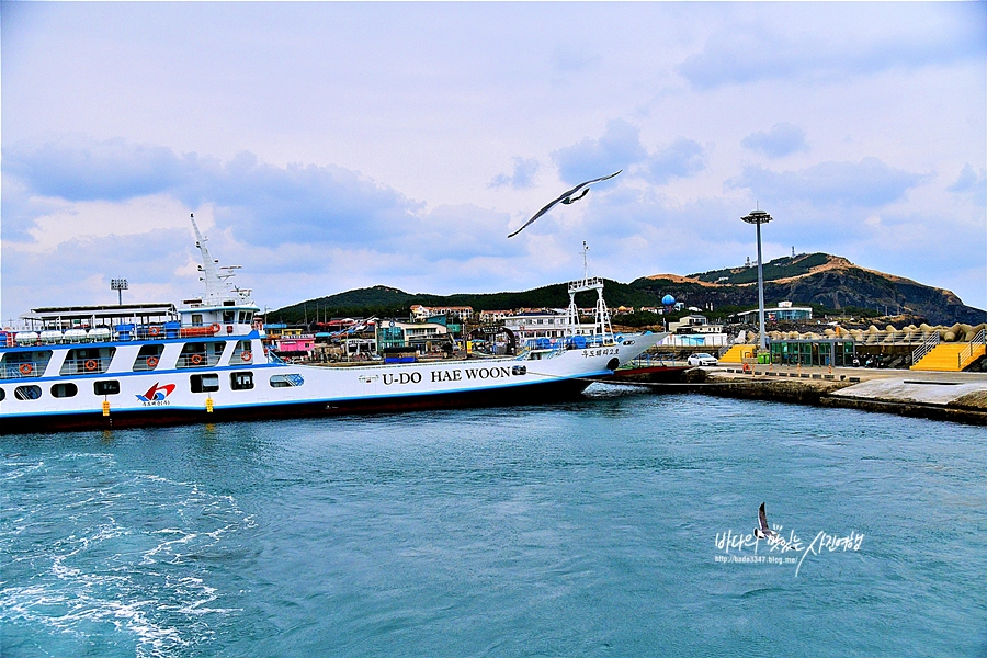 제주도 우도 여행 제주 성산항 우도  선착장 배타는곳 렌트카