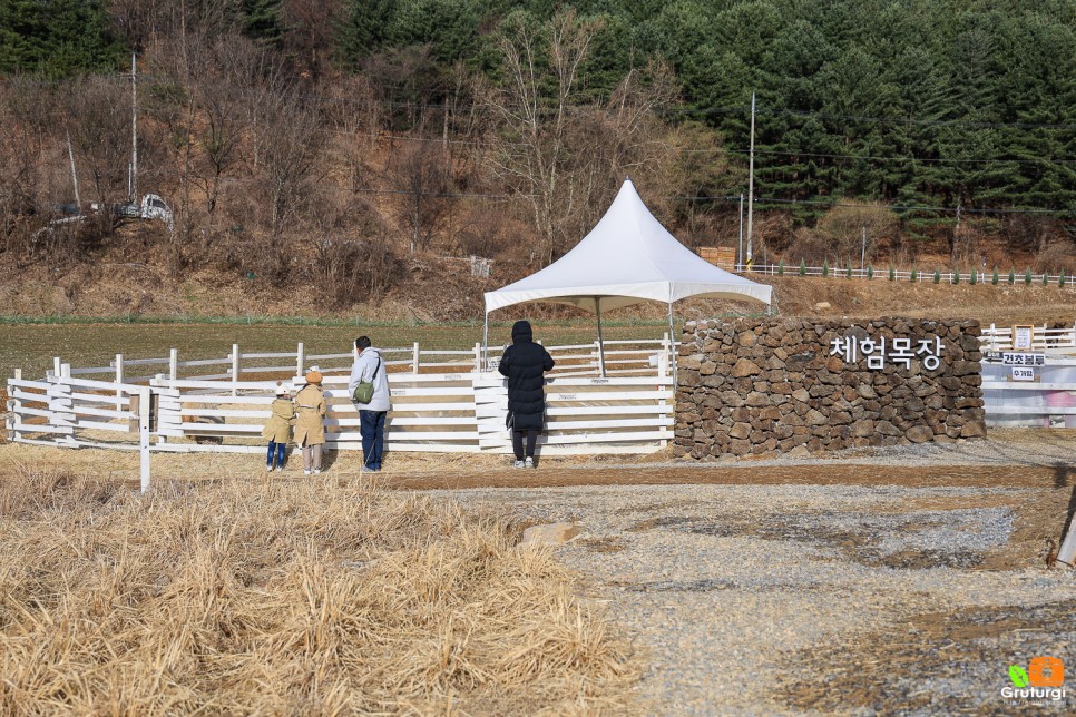 경기도 가볼만한곳 체험 경기도 여행지 추천 경기도 데이트 코스