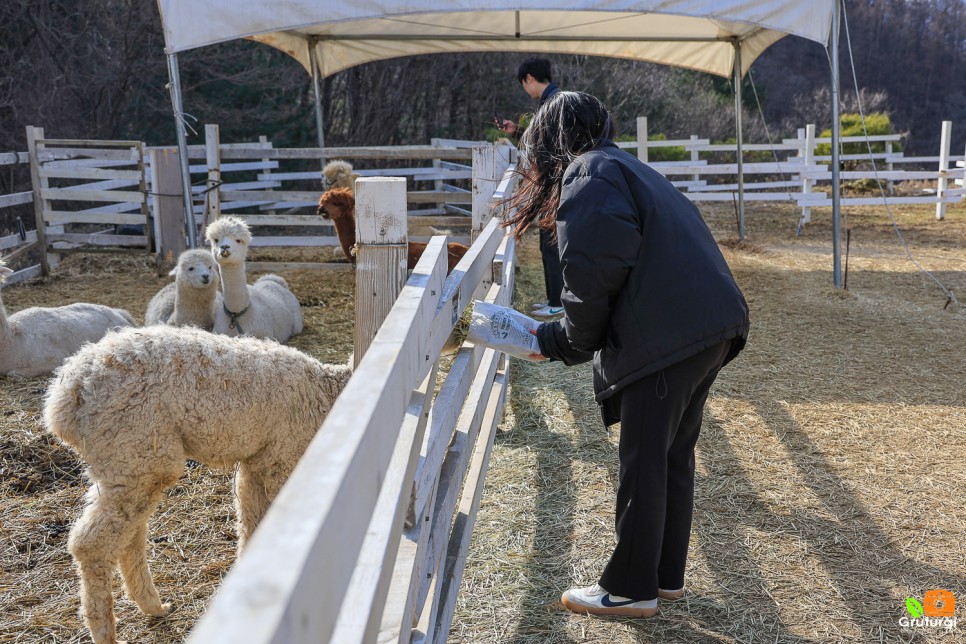 경기도 가볼만한곳 체험 경기도 여행지 추천 경기도 데이트 코스