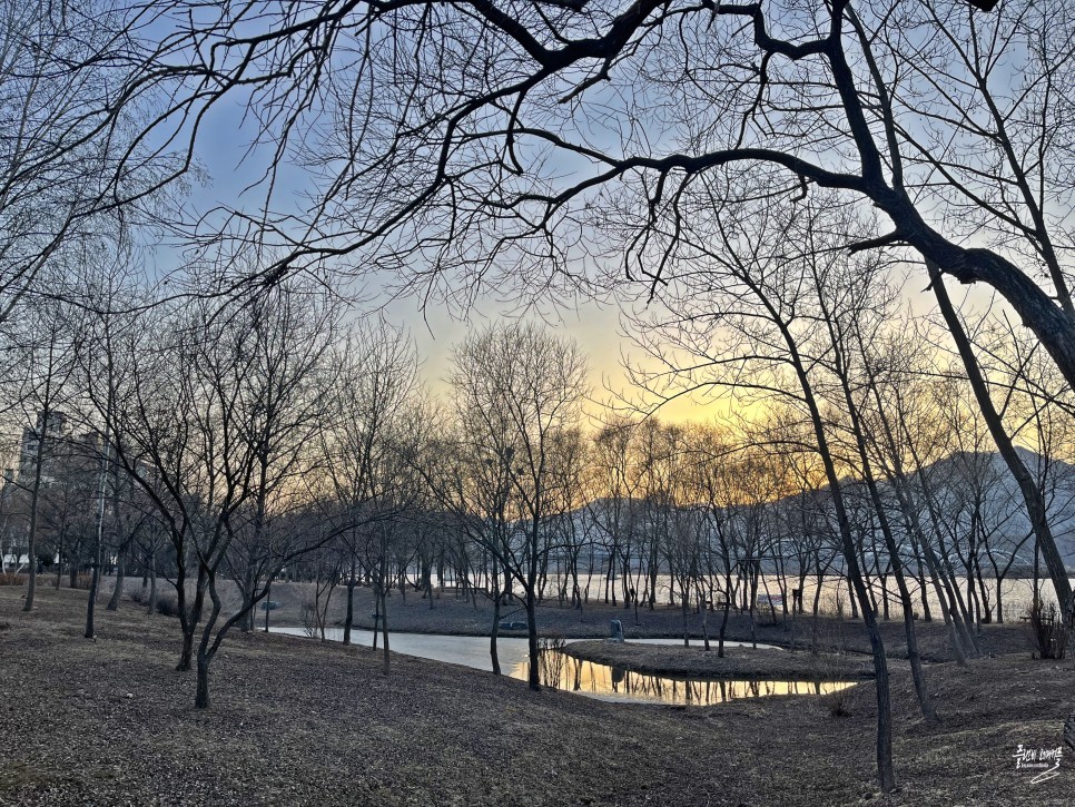 서울근교 주말여행지 양평 갈만한곳 양수리 환경생태공원 수풀로