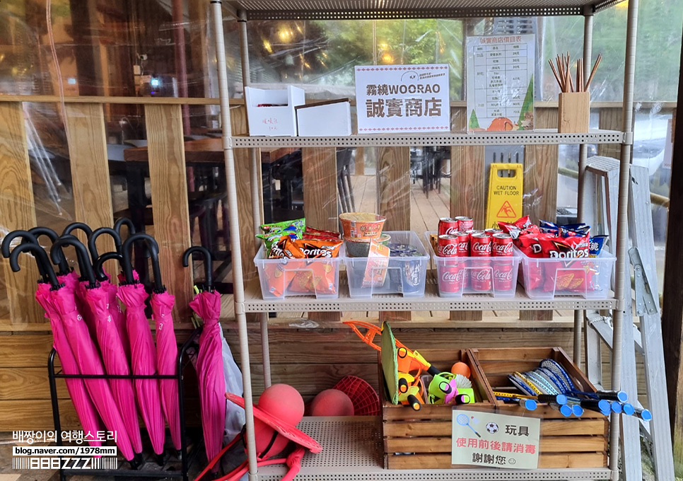 대만여행 신주 벚꽃 캠핑장 타이베이 근교 우라오 글램핑 체험 추천