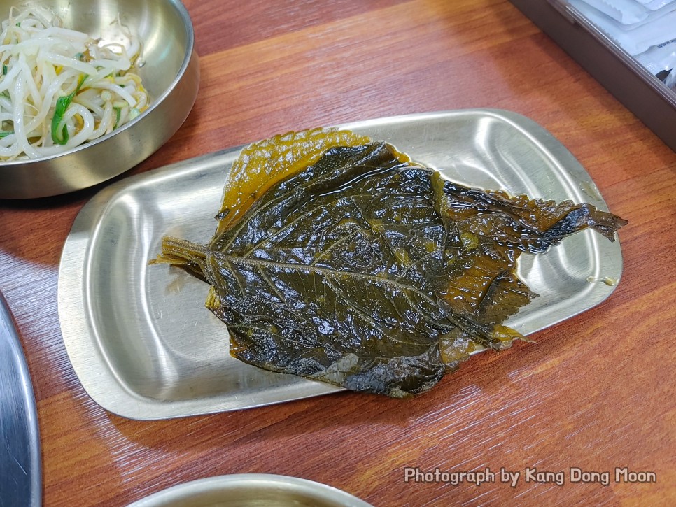 친한 형과 한잔하러 제주도 서귀포 식당 낭쿰낭쿰