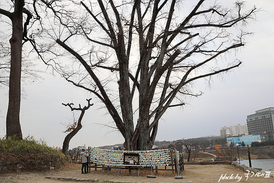 서울근교 여주 가볼만한곳 신륵사 나는솔로촬영지