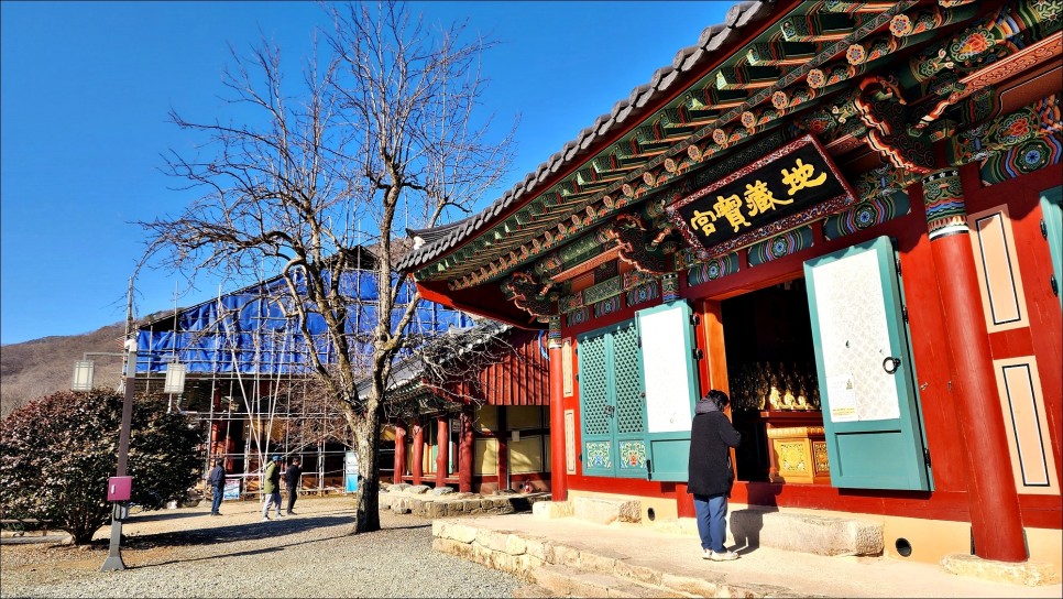 광주근교 나들이 가볼만한곳 전북 고창 여행 선운산 선운사 봄나들이!