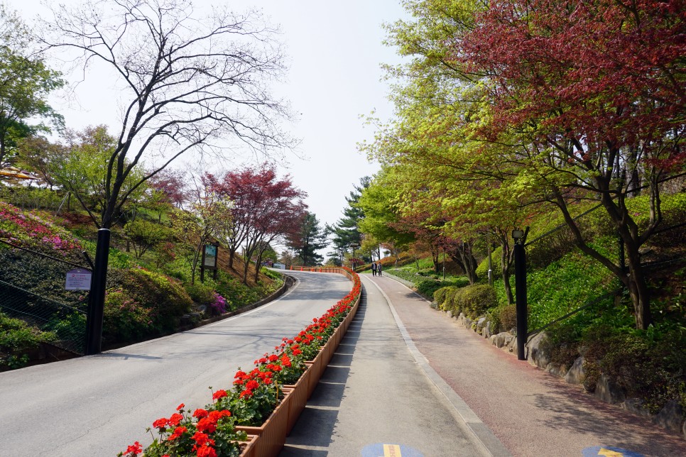 청주 가볼만한곳 무심천 벚꽃 포함 4월 여행 코스 5곳