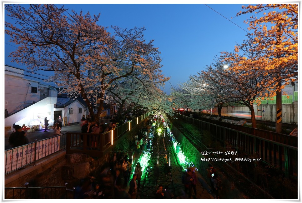 국내 벚꽃명소 진해 가볼만한곳 2023 진해 군항제 벚꽃축제
