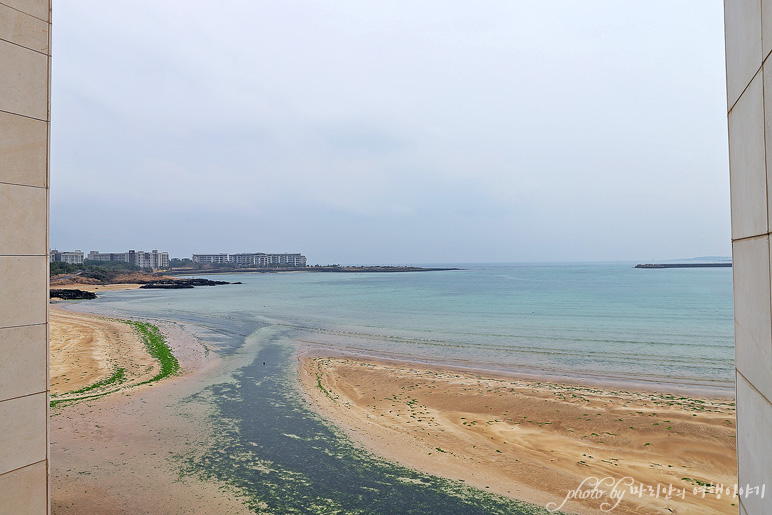 제주도 카페 서귀포 서귀피안베이커리 제주 빵집 빵지순례