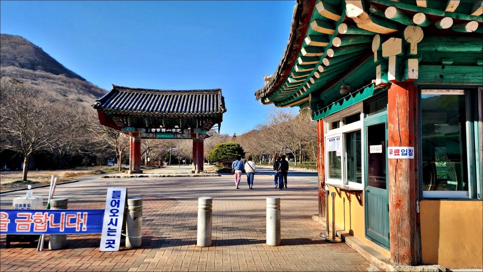 광주근교 나들이 가볼만한곳 전북 고창 여행 선운산 선운사 봄나들이!