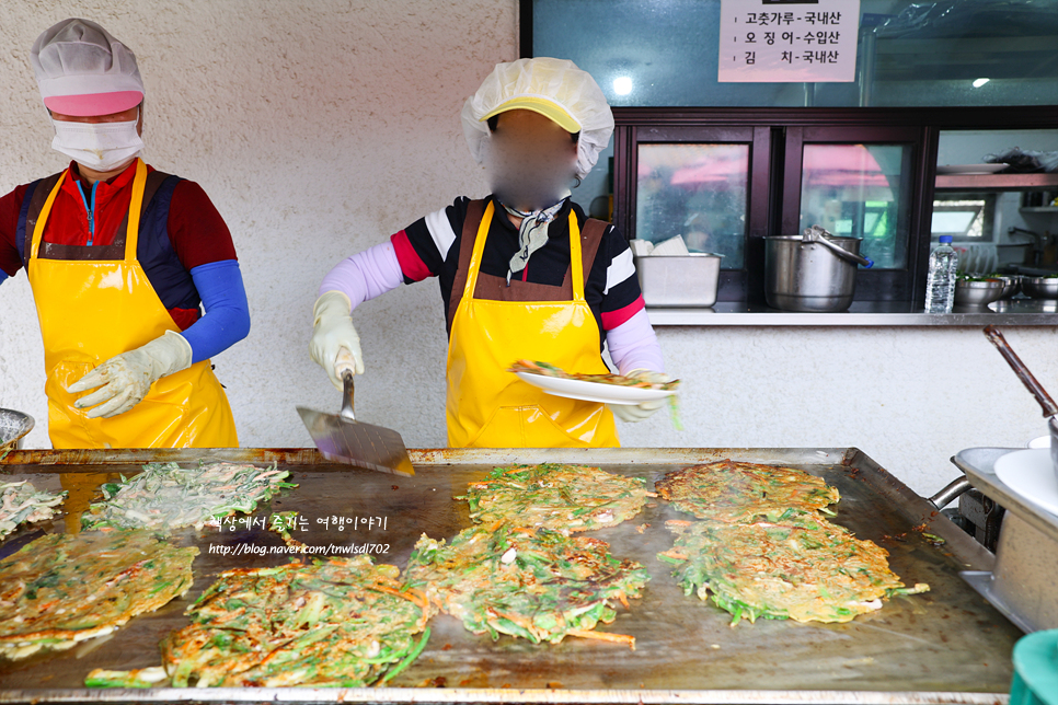 광양 매화마을 가볼만한곳 광양매화 축제 매화꽃구경 다녀왔어요