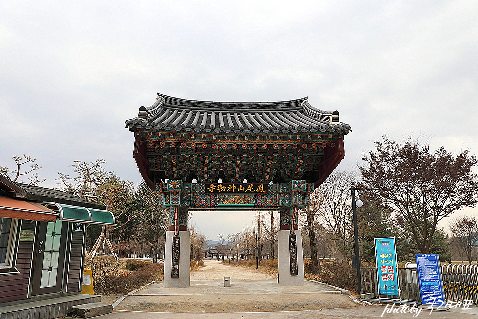 서울근교 여주 가볼만한곳 신륵사 나는솔로촬영지