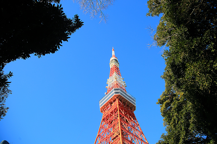 도쿄 여행 도쿄타워 전망대 위치 높이 입장료 입장권