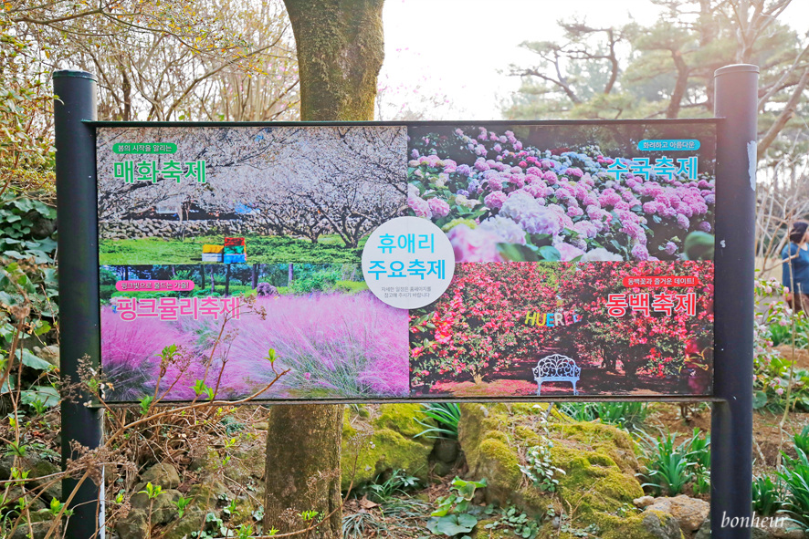 3월 제주도여행 휴애리 자연생활공원 유채꽃밭 명소