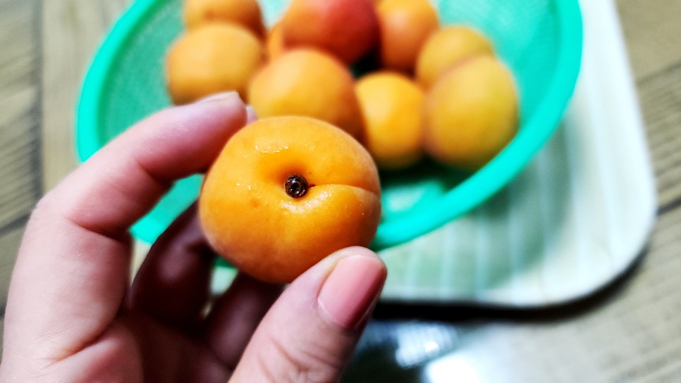 살구청 살구먹는법 살구잼 살구쨈 수제잼 과일청 과일잼만들기