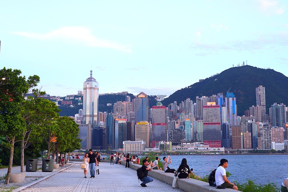 홍콩여행 홍콩 가볼만한곳 신상스폿 서구룡 문화지구
