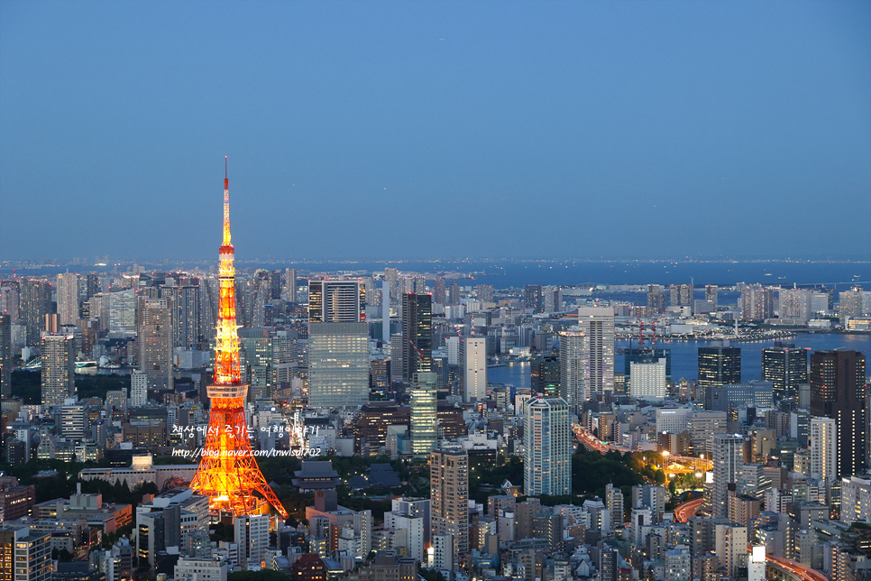일본 도쿄 여행 코스, 도쿄 비행기표 항공권