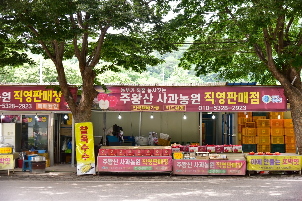 국내 여름 여행지 추천 청송 주왕산 등산코스 국립공원 계곡