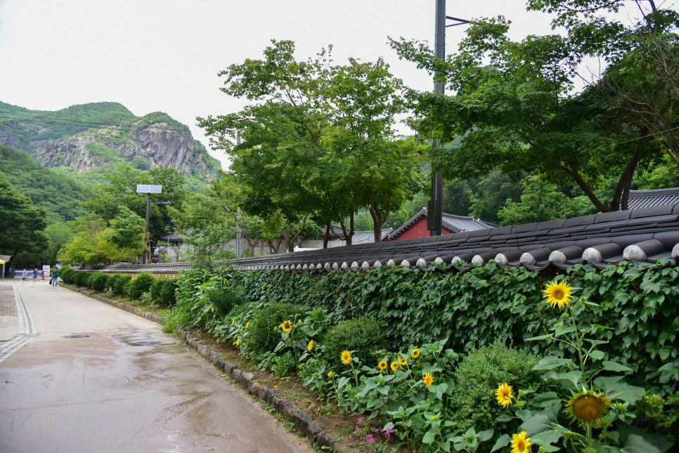 국내 여름 여행지 추천 청송 주왕산 등산코스 국립공원 계곡