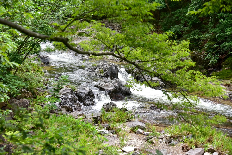 국내 여름 여행지 추천 청송 주왕산 등산코스 국립공원 계곡