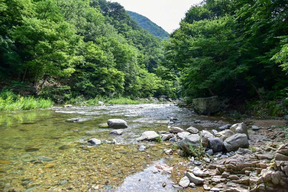 포항 하옥계곡 차박 영덕 옥계계곡 오지 국내 1박2일 여행지