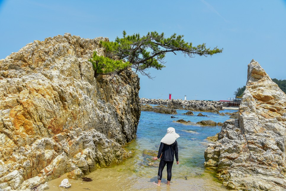 삼척 가볼만한곳 강원도 1박2일 여행 코스