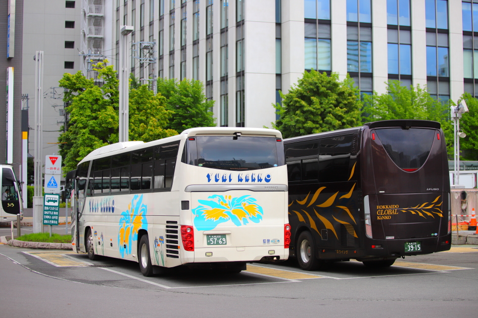 일본 훗카이도 삿포로 여행 후라노 비에이 버스 투어 예약 라벤더 만개