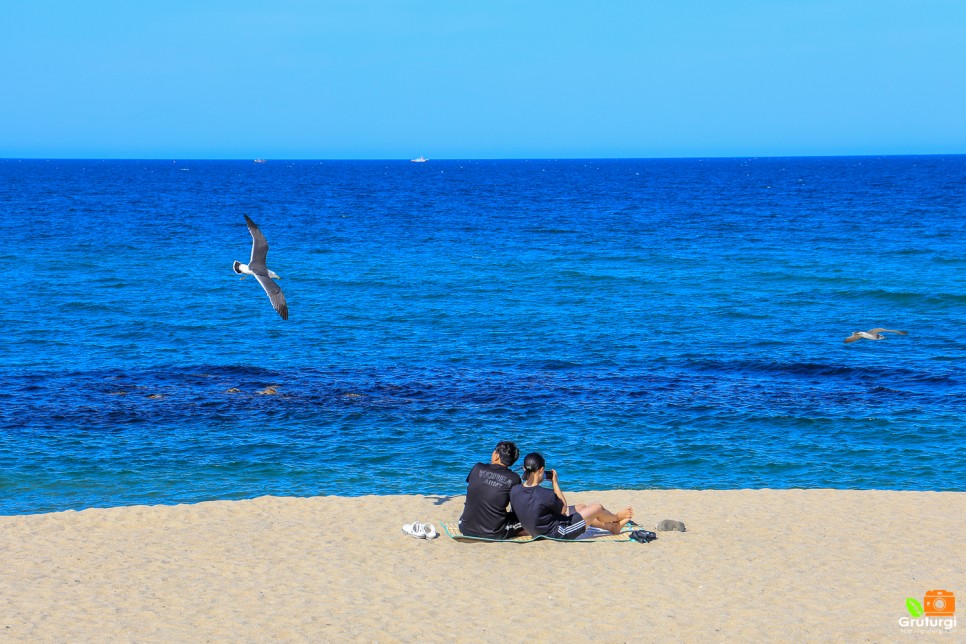 강릉 경포해변 경포해수욕장 강문해변 강릉 특산물 커피콩빵 강릉빵집