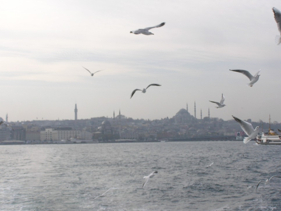터키 이스탄불 여행 여자 혼자 떠난 튀르키예 자유여행 후기 f.썸남