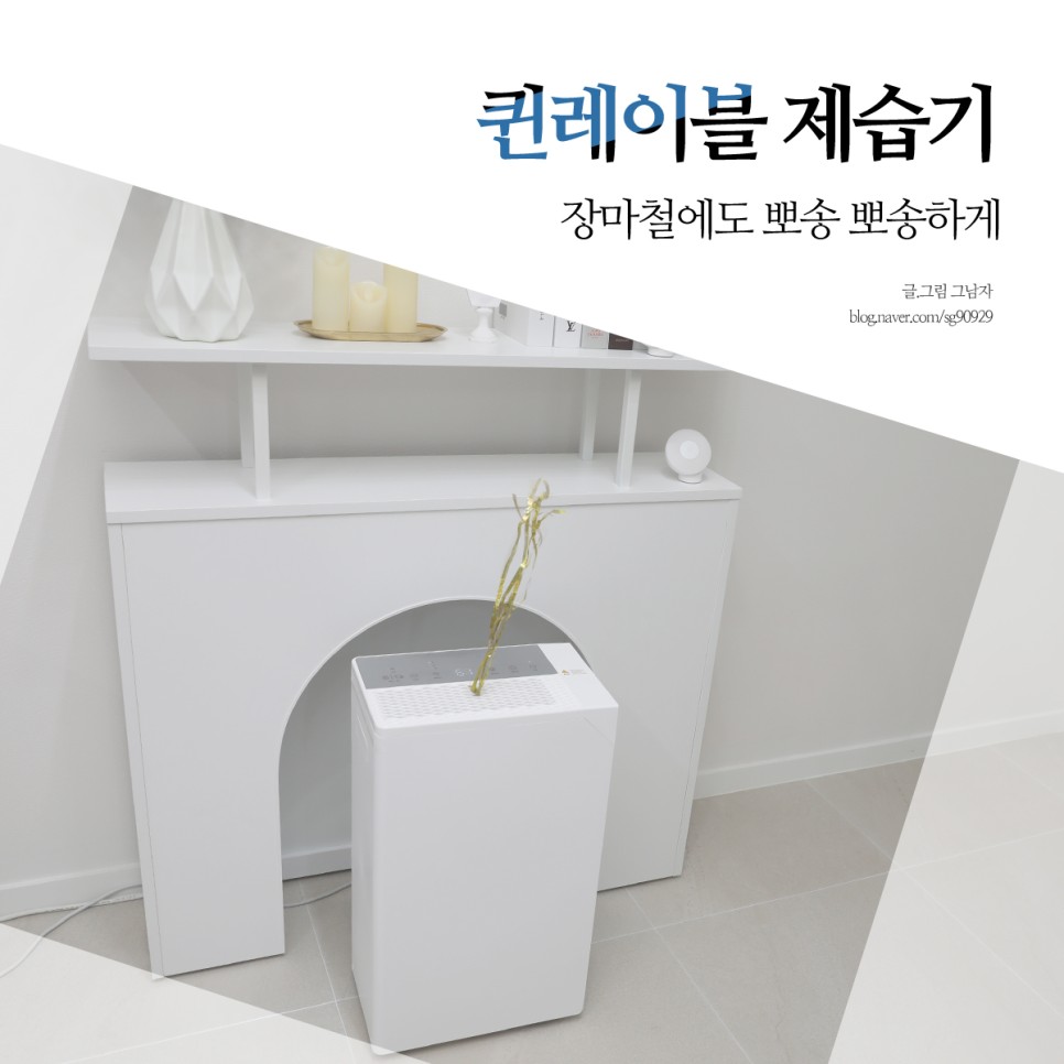 제습기 추천, 가성비 따져봐야죠.