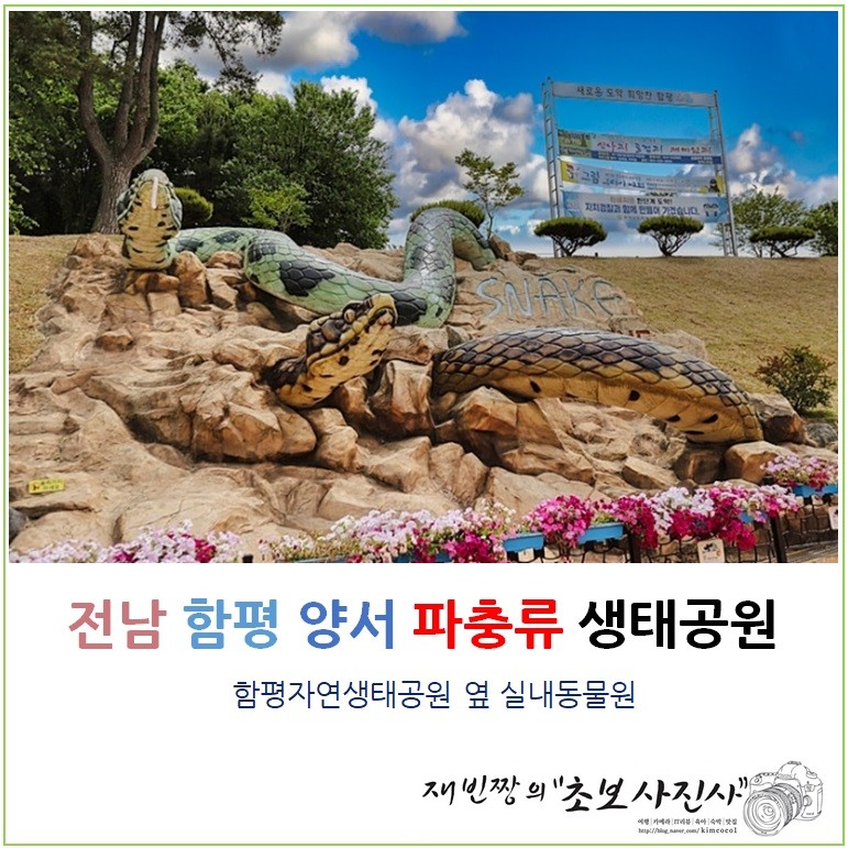 함평 가볼만한곳 "파충류박물관" 실내동물원 전남 여행 함평자연생태공원 옆