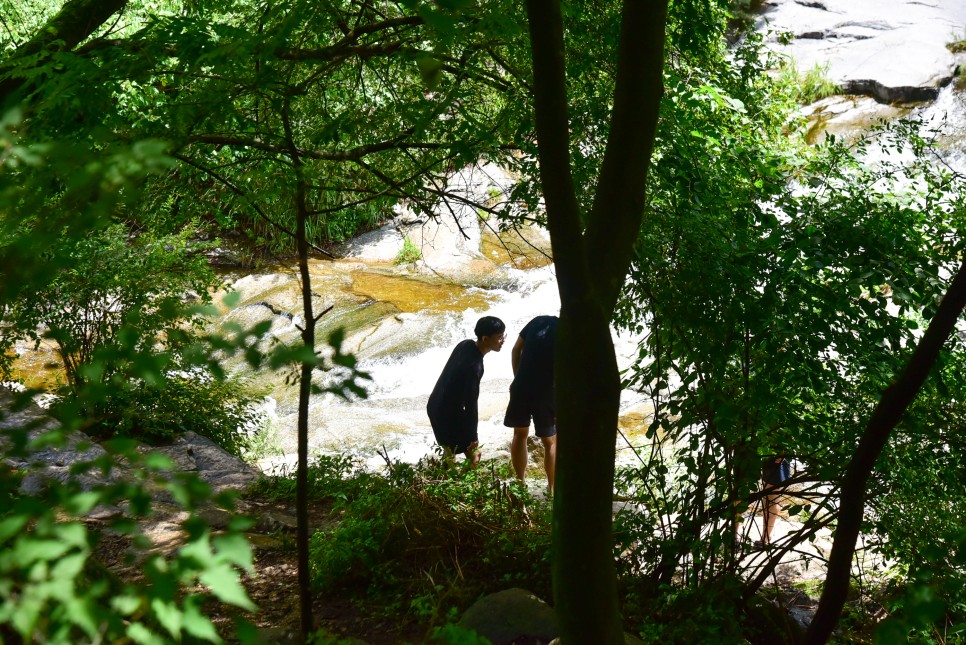 대구 계곡 군위 팔공산 동산계곡 대구 가볼만한곳