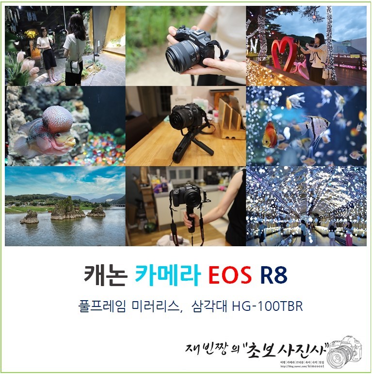 단양여행지 추천 풀프레임 미러리스 카메라 캐논 EOS R8