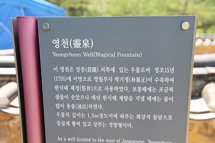 영월관광택시 영월여행 청령포 (단종유배지), 선돌, 장릉, 젊은달와이파크, 한반도지형