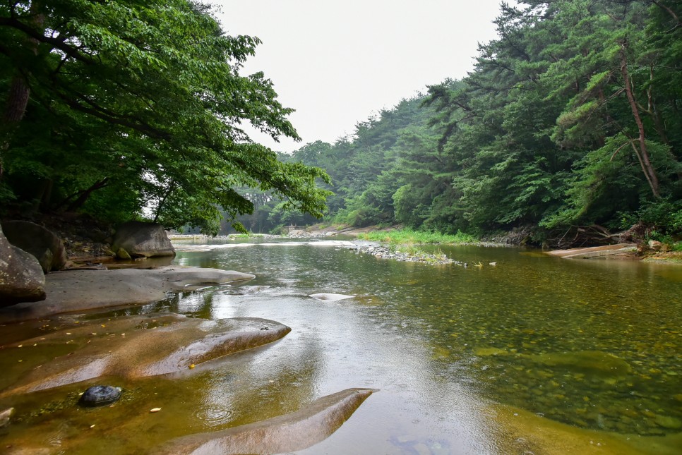 언양 울산 작천정계곡 울산 물놀이 명소