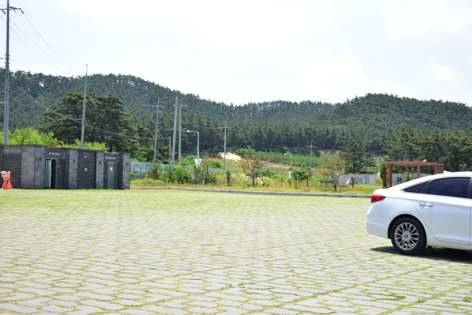 충남 태안 가볼만한곳 만리포 해수욕장 먹거리 볼거리