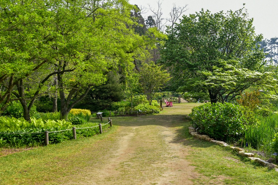 충남 태안 가볼만한곳 만리포 해수욕장 먹거리 볼거리