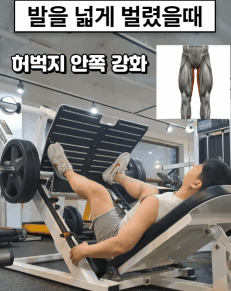 남자 여자 하체운동 루틴 파워 레그프레스 사용법 헬스 허벅지 근력운동 기구 종류
