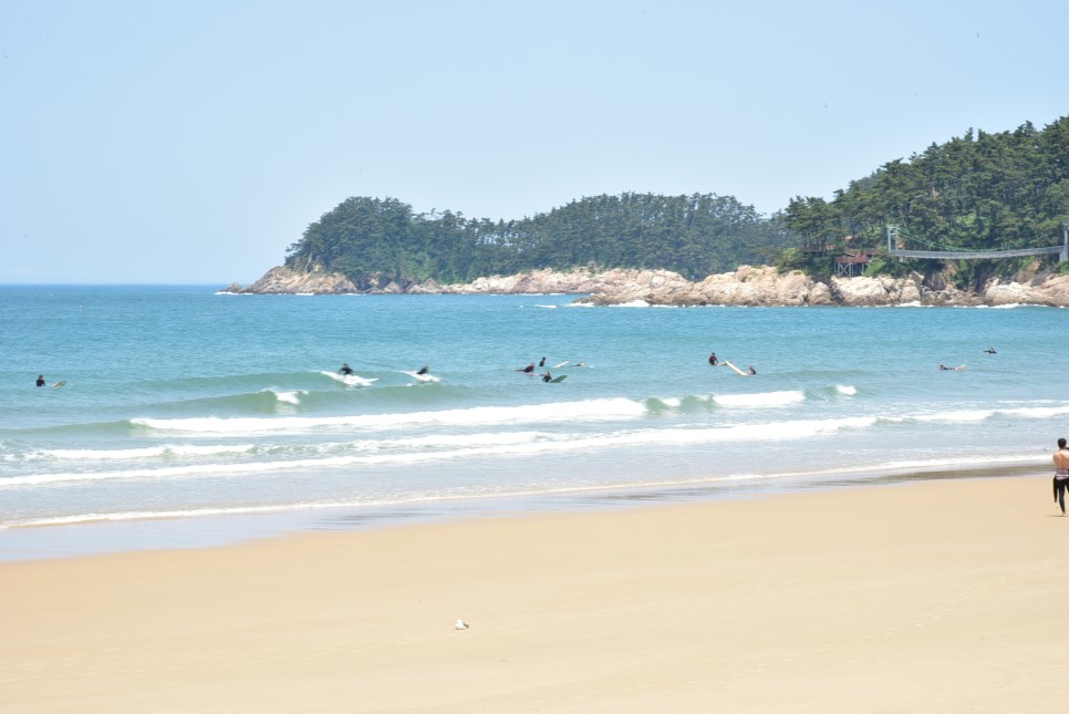 충남 태안 가볼만한곳 만리포 해수욕장 먹거리 볼거리