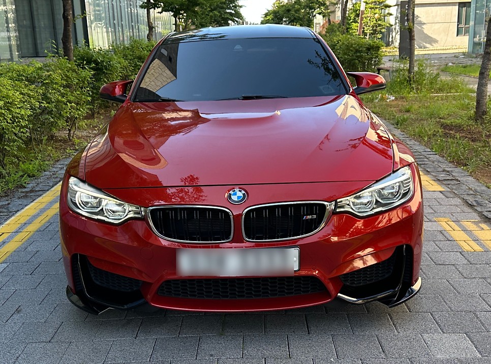 프론트립 하면 괜찮을까?? 걱정마시말고 해 !! BMW M3 F80