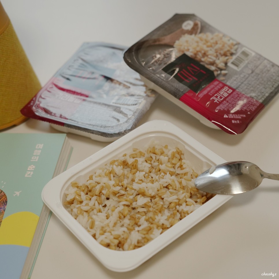 여행준비물 더미식 즉석밥 간편하고 맛있게 즐기는 해외여행 필수템 추천