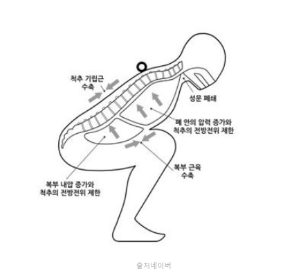 바른 스쿼트 자세 효과 호흡법 발살바 호흡 헬스3대운동 종류 풀스쿼트 와이드스쿼트 운동효과