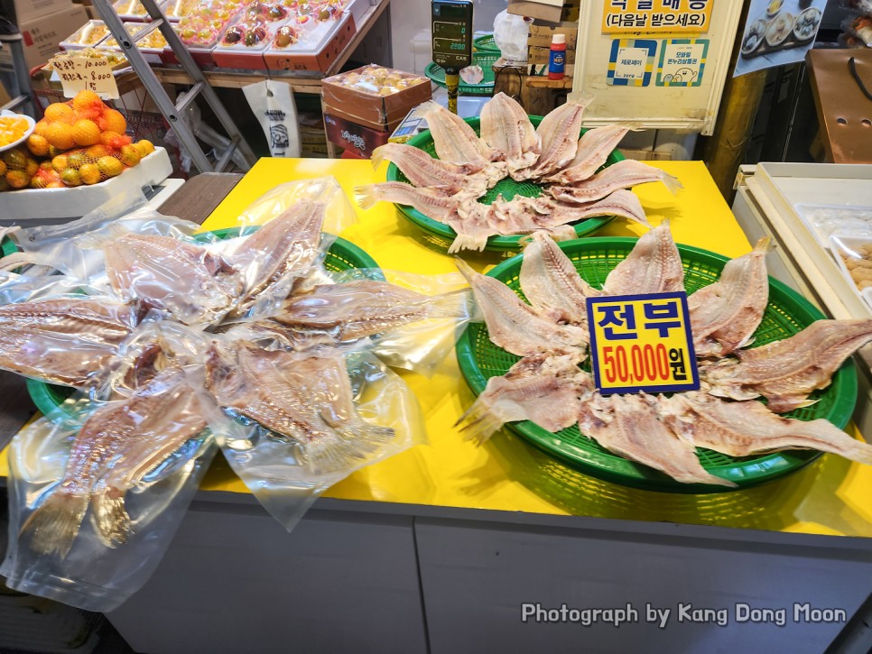 제주공항근처 가볼만한곳 제주 도두봉 도두동 무지개해안도로 제주시 관광지 볼거리