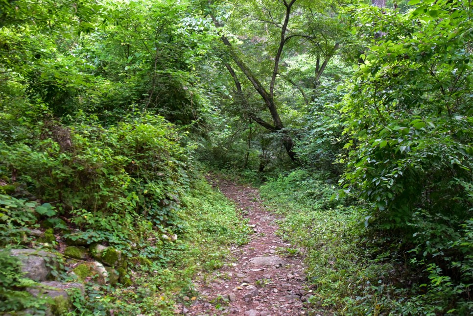 청도 남산계곡 물놀이 명소 청도 가볼만한곳