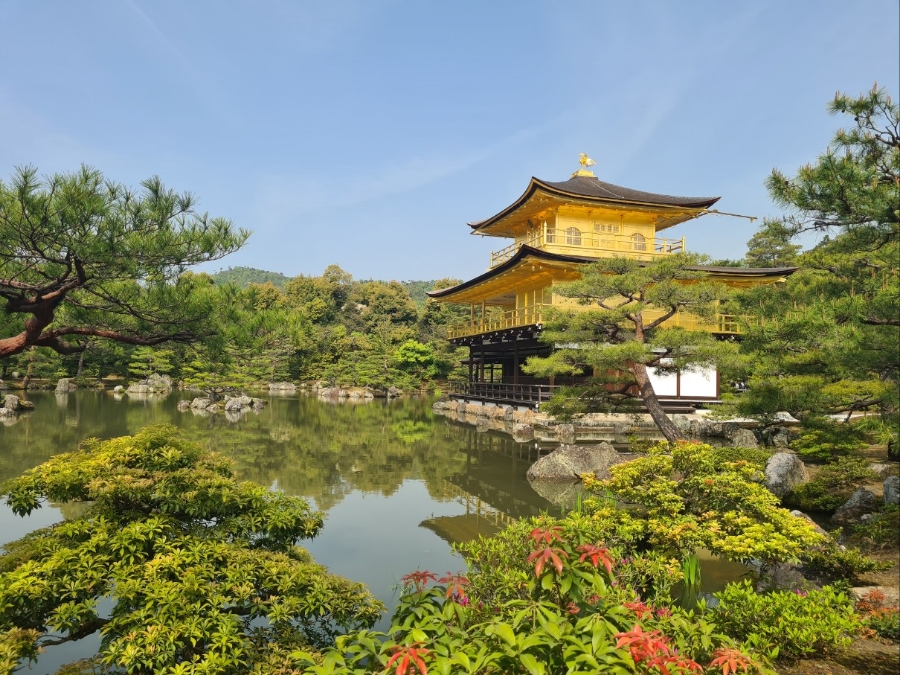 일본 여행 준비물 해외 여행자보험 가입 가격 확인하기