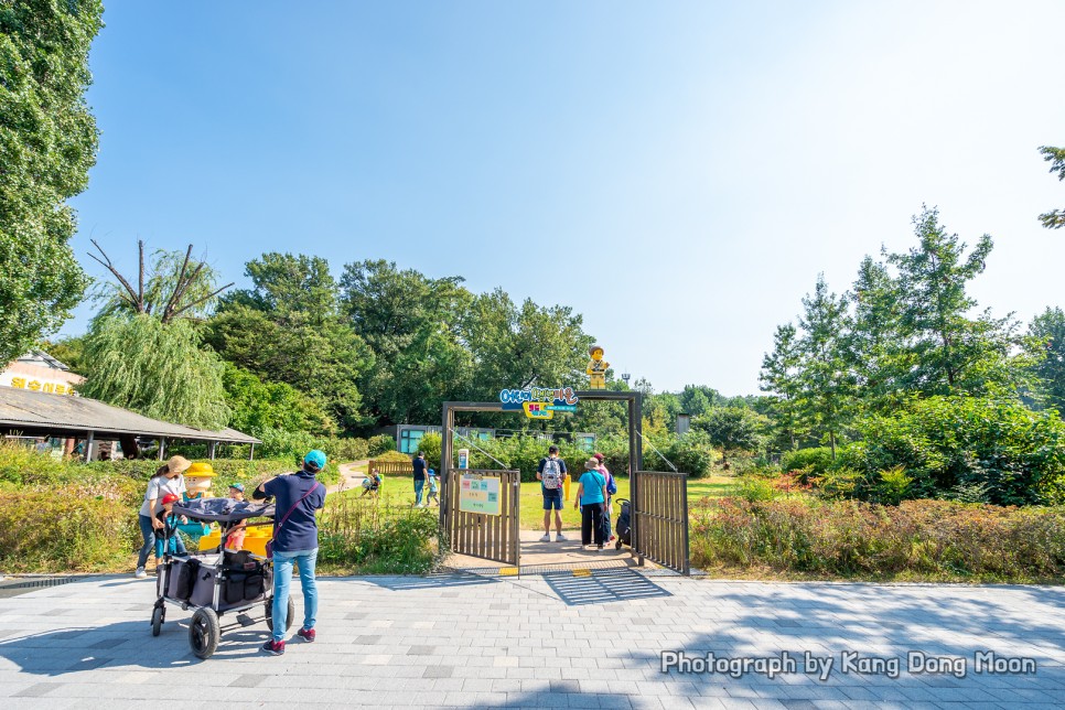 7월 8월 서울 가볼만한곳 나들이 아이와 아이랑 갈만한곳 서울 어린이대공원 동물원