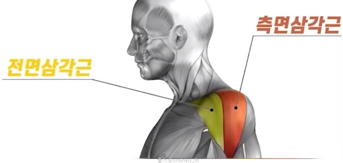 어깨 커지는 어깨운동 루틴 숄더프레스 덤벨 바벨 프레스 자극 차이 전면 측면 삼각근 운동