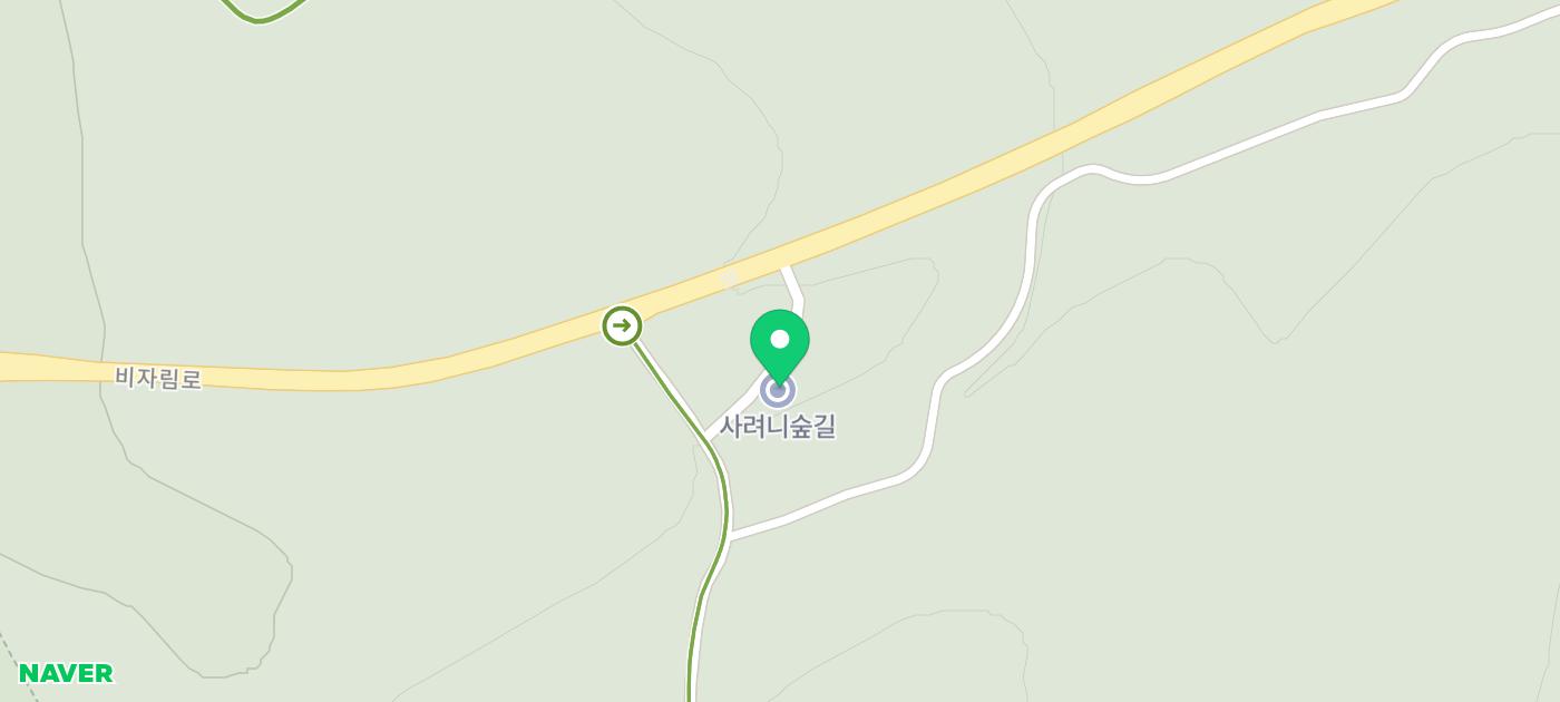 제주도 여름여행 제주 숲 길 제주도 사려니숲길