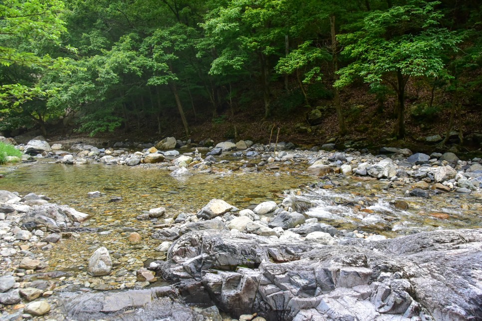 양산 내원사계곡 양산 가볼만한곳 부산근교 당일치기 계곡 물놀이 가능한곳